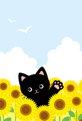 summer vector background with a black cat and sunflowers on the sky for banners, cards, flyers, social media wallpapers, etc.
