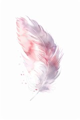 A minimalist watercolor depiction of a swan feather, elegant and soft, focusing on the gentle curves and subtle shades, isolated on a white background