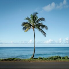 Single Palm Tree beside road and Sea,  Summer days in beach