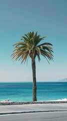 Single Palm Tree beside road and Sea, Summer days in beach