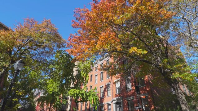 NEW YORK, NEW YORK USA &ndash; NOVEMBER 8, 2023: Autumn leaf color trees grow around the Abe Lebewohl Triangle near the Saint Mark's Church at East Village in New York City.