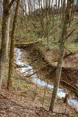 A ravine in which a blue stream flows after the illegal dumping of pollutants