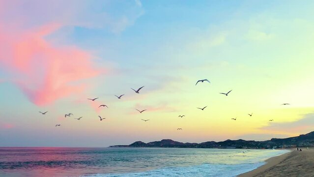 Atardecer en la playa con gaviotas en los cabos mexico.