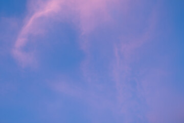 Sky background. Cirrus clouds colored in pink against deep blue sky. Sunset or sunrise.