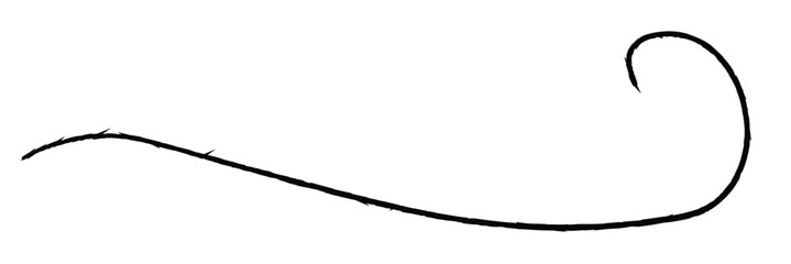 Swoosh, swash underline stroke set.Abstract wavy thin line. Squiggle elements. Vector isolated illustration.eps10.