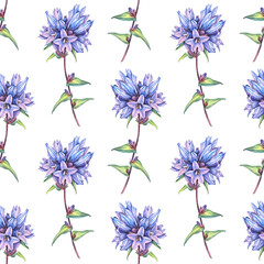 Seamless pattern with watercolor bellflower Campanula on white background. Hand-drawn spring and summer blue purple flower. Art for florist wallpaper or wrapping. Wildflower for sketchbook and card