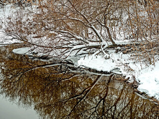 Tilted and fallen trees on the riverbank in winter, countryside
