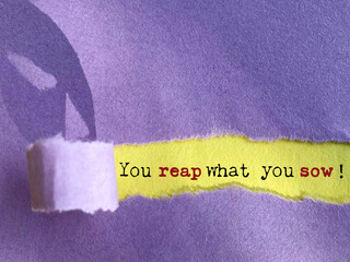 You reap what you sow words behind torn paper background. Stock photo.