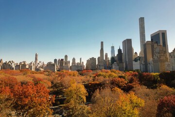 Obraz premium Autumn in Central Park in New York. NYC Central Park with Fall autumnal foliage. Aerial shot of Central Park in Autumn color. Top view of beautiful fall foliage in Central Park NYC.