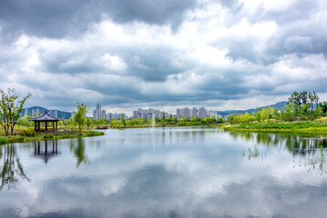 Fototapeta premium 작은 호수 너머로 고층아파트가 보이는 국립세종수목원의 풍경-Scenery of the National Sejong Arboretum with high-rise apartments visible across a small lake