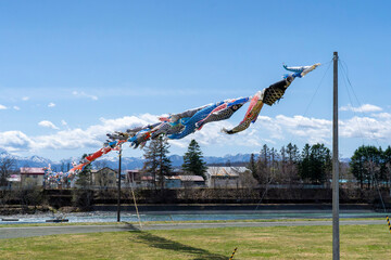 川の上を泳ぐたくさんのこいのぼり