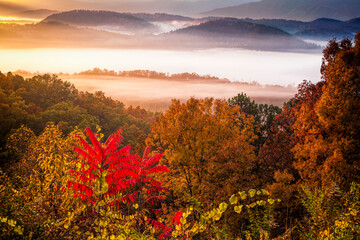 Autumn at Foothills Parkway West in the Great Smoky Mountains National Park in Tennessee