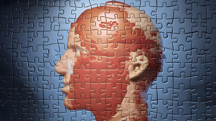 Human head as a set of puzzles