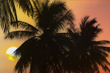 Silhouette coconut trees on sunset colorful twilight summer sky with beautiful sun. Image use for travel business and tourism industry background.