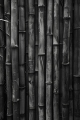 Fototapeta premium An artistic portrayal of a dense bamboo forest, with the slender stalks forming vertical lines that converge towards the top of the frame, in black and white tone