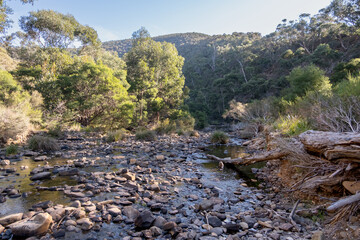Cobblestone river crossing at Grahams Dam surrounded by Australian native forest in Lerderderg State Park. It is a hiking track or walking trail and a natural travel destination near Bacchus Marsh