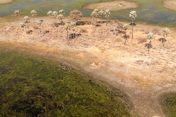 An aerial impression of the Okavango Delta, Botswana, as seen from a Helicopter.
