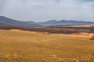 Autumn natural scenery of Aershan in Hulunbuir, Inner Mongolia, China