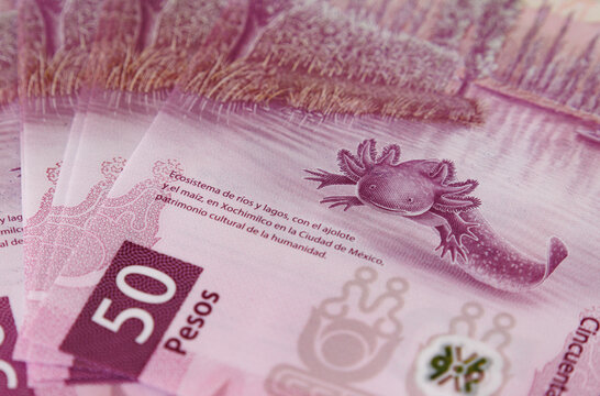 Mexican 50 pesos bill with axolote 