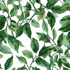 botanical pattern of green leaves on isolated background