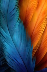 Vibrant Feather Texture