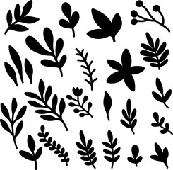 Set of hand drawn leaves, branches, flowers, flourishes. Design element for banner, sign, poster, decoration. Vector illustration