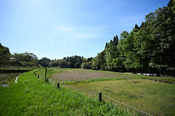 都市農業センターの春の自然風景