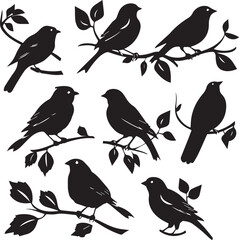 birds on a branch