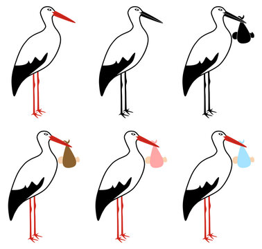 Stork Isolated & Stork Holding a Baby