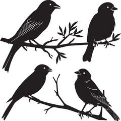 set of birds on a branch