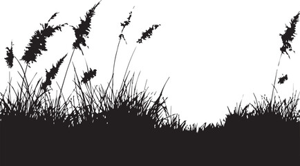 grass silhouette vector