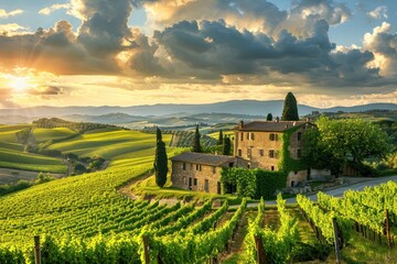 Sunrise over a sprawling Tuscan vineyard, with the sun's rays casting a warm glow over the rolling hills and stone farmhouse.