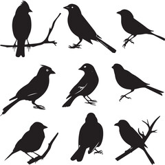set of birds silhouettes