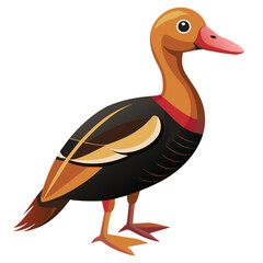 a drawing of a duck with a brown beak and white feathers   vector illustration