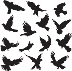 set of birds