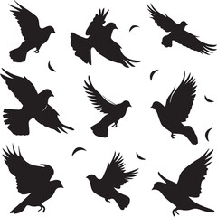 Fototapeta premium set of silhouettes of birds
