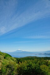 Fototapeta na wymiar 伊豆山稜トレイルから見た富士山