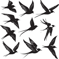 set of birds