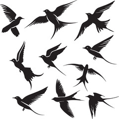 set of birds