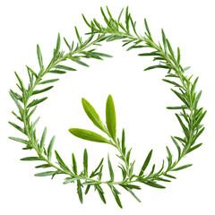Tarragon leaves soaring upwards in a swirl of aromatic wind Artemisia dracunculus Food and Culinary