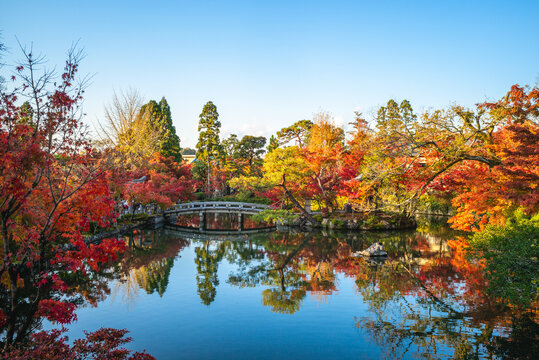 autumn foliage at Eikando Zenrinji Temple in Kyoto, Kansai, Japan