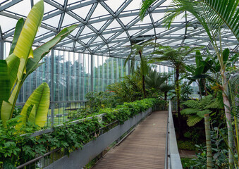 Raised walkway inside a lush indoor botanical garden inside a modern glass structure with pond and various tropical plants in Japan