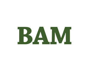 BAM logo design vector template