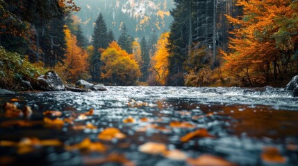 A calm river surrounded by autumnal colors representing the change of seasons and the onset of SAD..