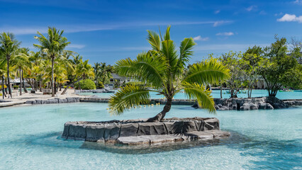 A relaxation area by the turquoise swimming pool. A palm tree grows on a small artificial island....