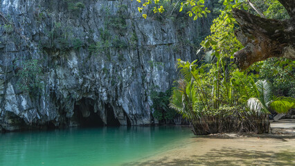 Lush tropical vegetation, palm trees grow on the banks of a calm transparent turquoise river. A...