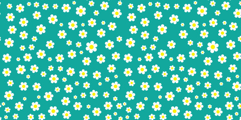 Deisy flower on green background