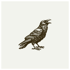 hand drawn raven crow bird beak croak illustration