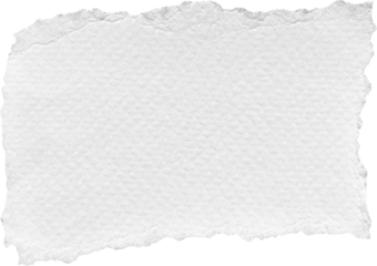 White Torn Paper Piece