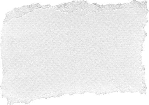 White Torn Paper Piece